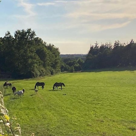 Bondehus - Dansk Bondehus Med Patina Villa Sindal Bagian luar foto