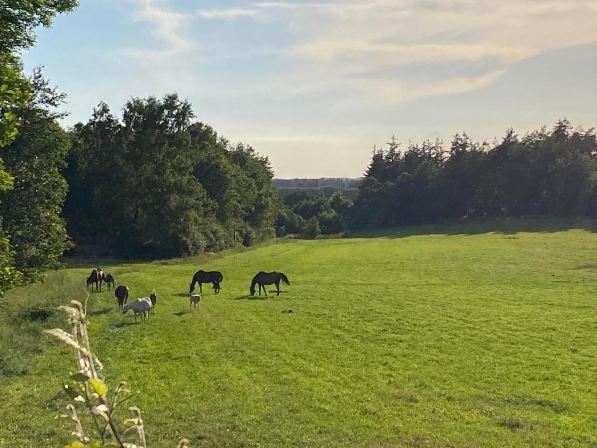 Bondehus - Dansk Bondehus Med Patina Villa Sindal Bagian luar foto
