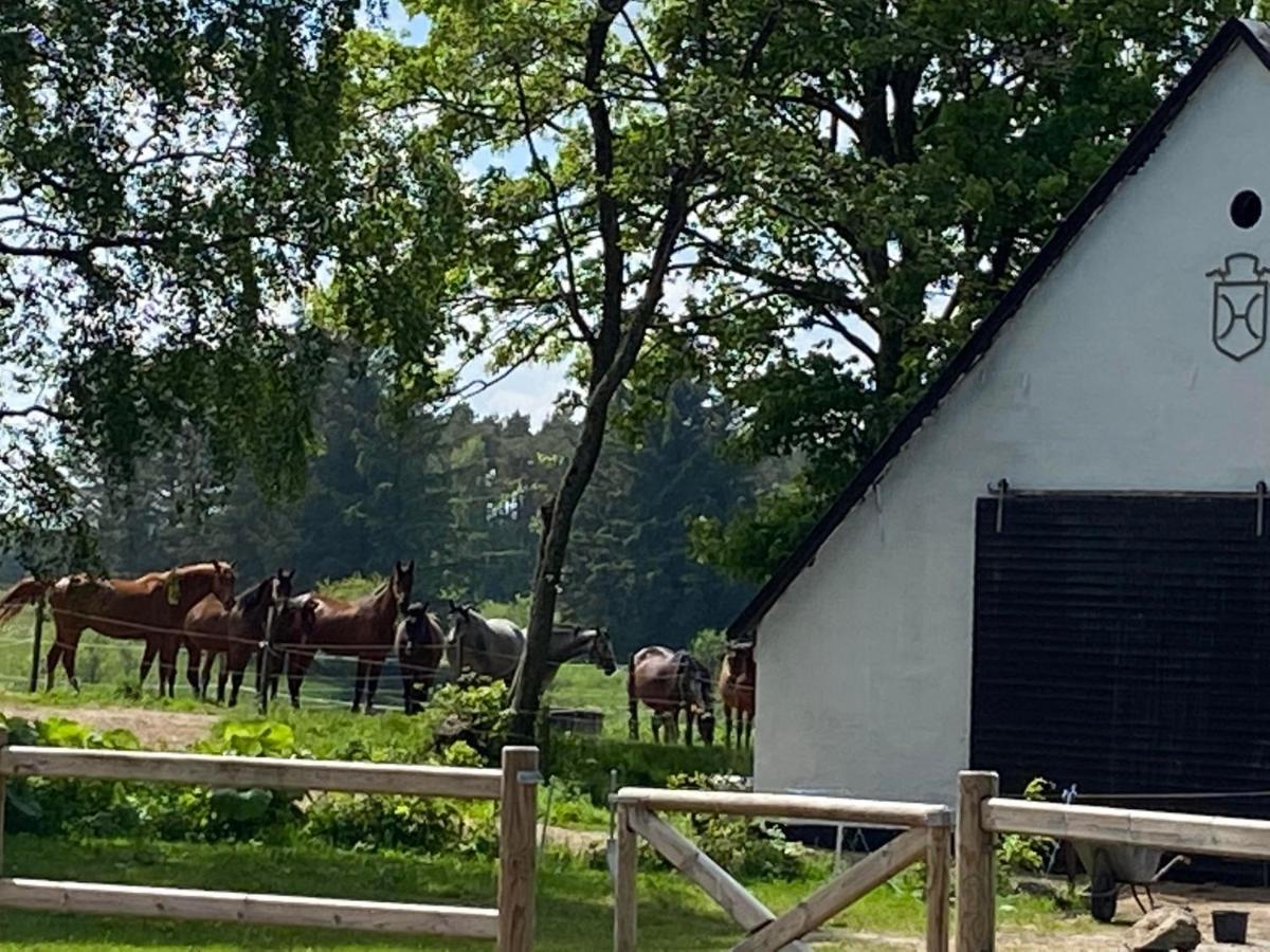 Bondehus - Dansk Bondehus Med Patina Villa Sindal Bagian luar foto